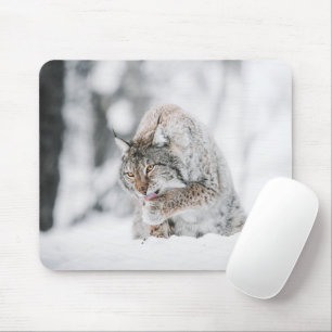 Tapis De Souris Lynx de neige