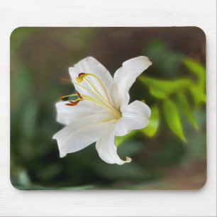 Tapis De Souris Lys blanc crépusculaire