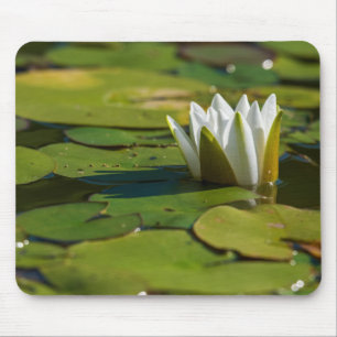Tapis De Souris Lys d'eau