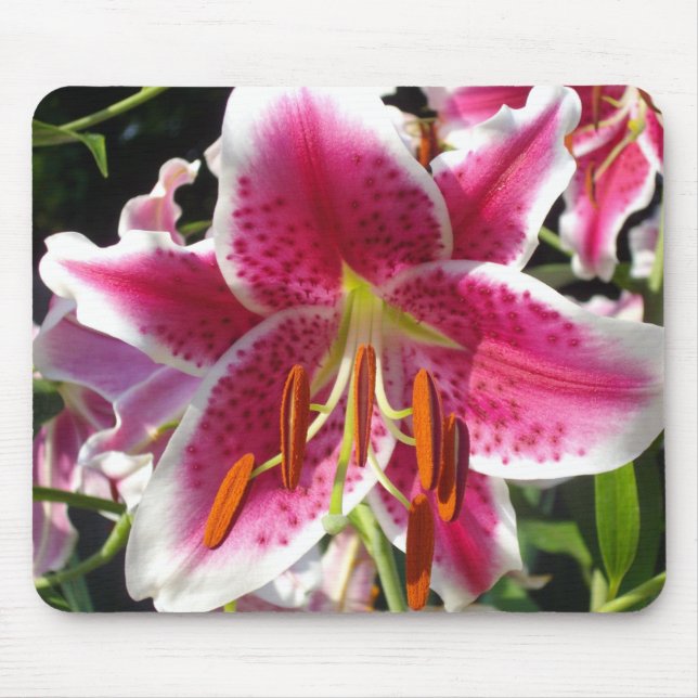 Tapis De Souris Lys roses fleurs tropicales roses rose (Devant)