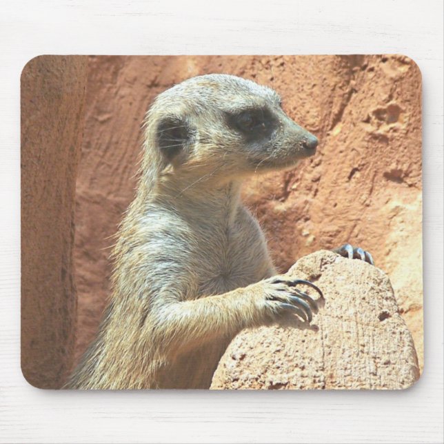 Tapis De Souris M. Meerkat (Devant)