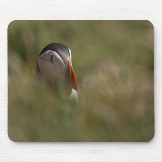 Tapis De Souris Macareux de cache-cache (Devant)