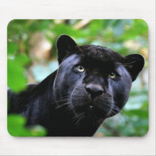 Tapis De Souris Macro Black Panther
