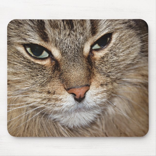Tapis De Souris Macro de chat de coton du Maine (Devant)