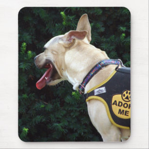 Tapis De Souris M'adopter