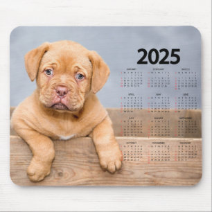 Tapis De Souris Magnifique Chiot Brown 2025 Calendrier Chien