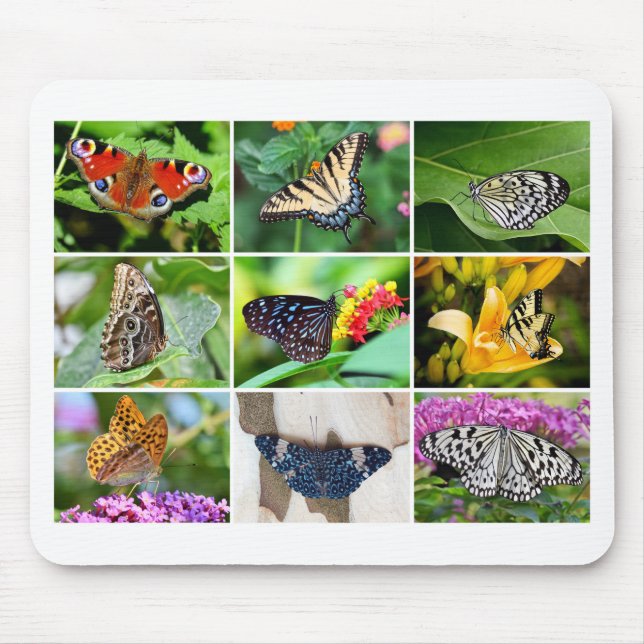 Tapis De Souris Magnifique collection papillon, 9 photos (Devant)