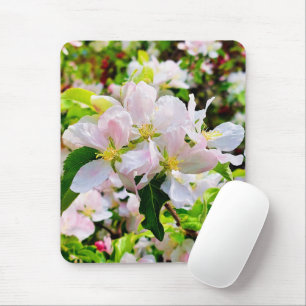 Tapis De Souris Magnifique Malus asiatica Photo