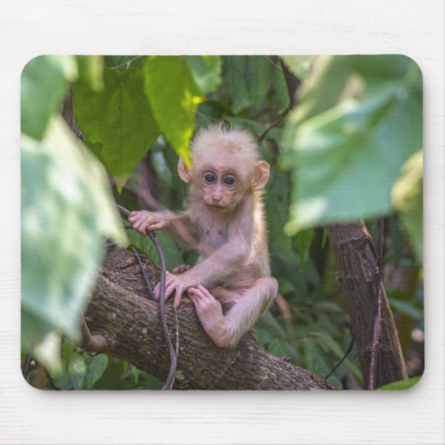 Tapis De Souris Magnifique Stump Tail Macaque (Devant)