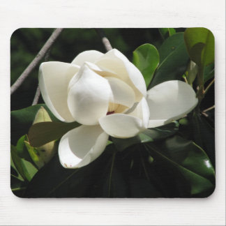 Tapis De Souris Magnolia du sud