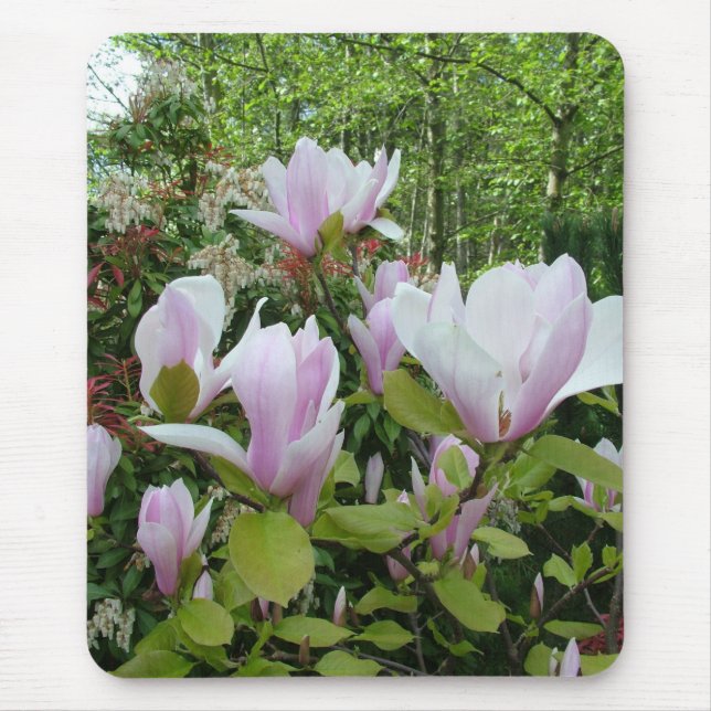 Tapis De Souris magnolia flower (Devant)