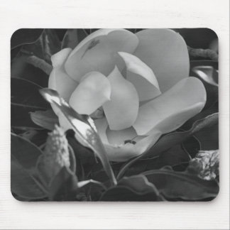 Tapis De Souris Magnolia Intemporelle
