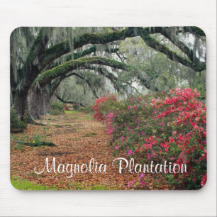 Tapis De Souris Magnolia Plantation / Charleston SC Mousepad