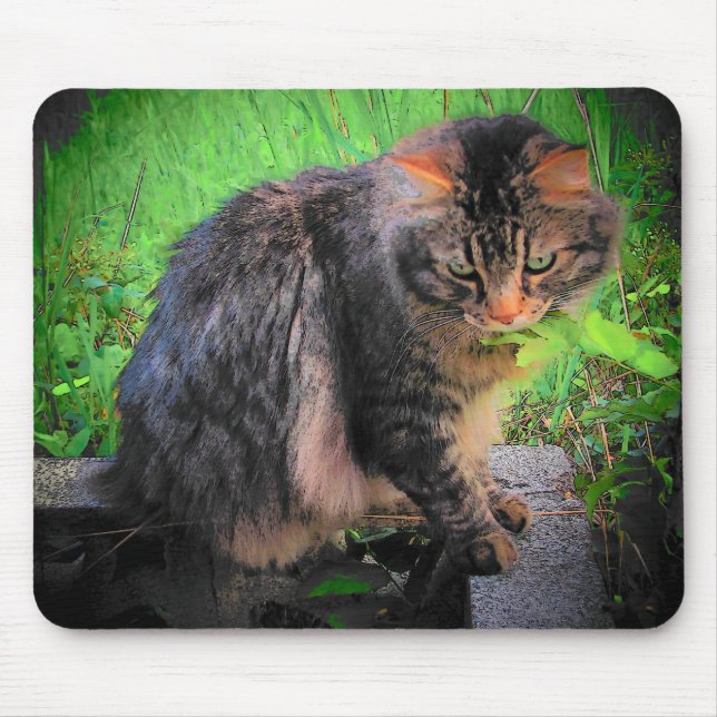 Tapis De Souris Maine Coon Chat sur briques (Devant)