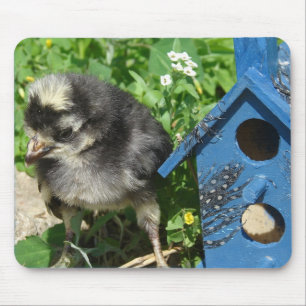 Tapis De Souris Maison d'oiseau de poux et de médias mixtes