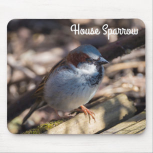 Tapis De Souris Maison Sparrow