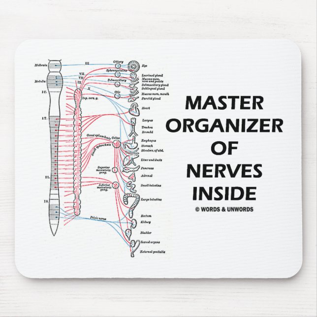 Tapis De Souris Maître-Organisateur Des Nerves À L'Intérieur (Auto (Devant)