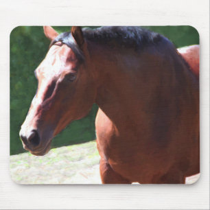 Tapis De Souris Maladie sans prix (Portia)