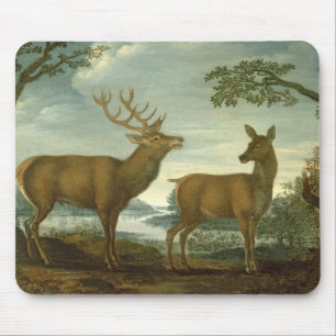 Tapis De Souris Mâle et de derrière dans un paysage boisé