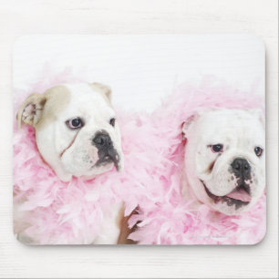 Tapis De Souris Mâle et femelle blancs