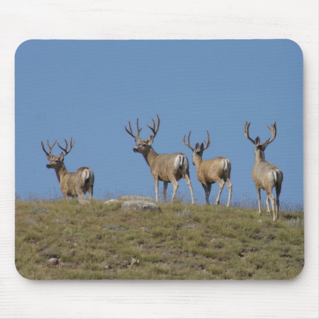 Tapis De Souris Mâles de cerfs communs de mule D9 en velours (Devant)