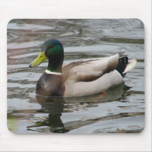 Tapis De Souris Mallard