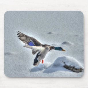 Tapis De Souris Mallard Dradlover Photo de la faune