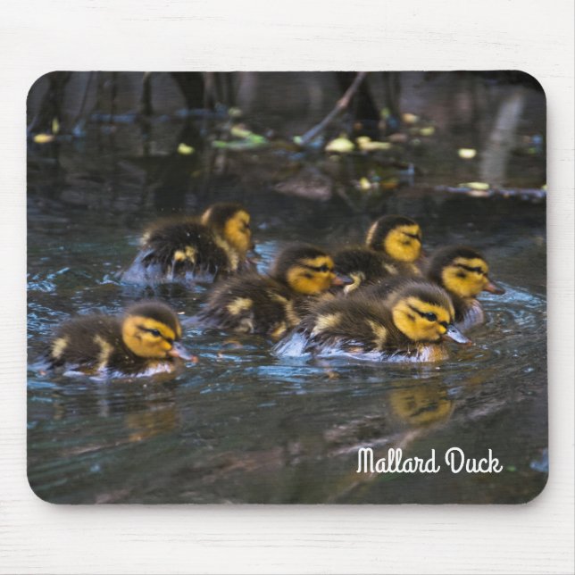 Tapis De Souris Mallard Ducklings (Devant)