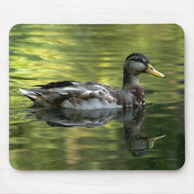 Tapis De Souris Mallard En Miroir Sur Eau Verte (Devant)
