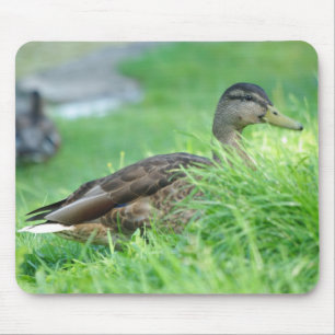 Tapis De Souris Mallard Mousepad