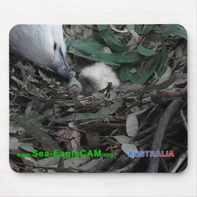 Tapis De Souris Maman alimentant S2 Mousepad horizontal (Devant)