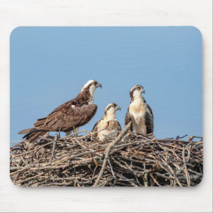 Tapis De Souris Maman d'Osprey avec ses enfants