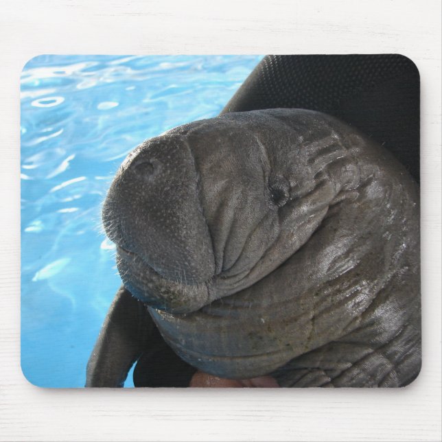 Tapis De Souris Manati SMP04 (Devant)