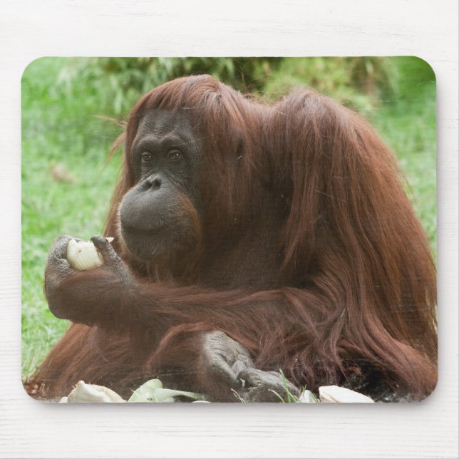 Tapis De Souris Manger Orangutan (Devant)