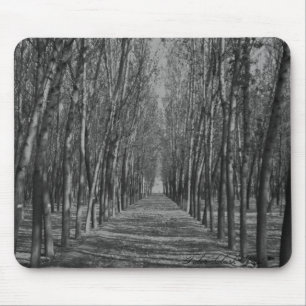 Tapis De Souris Manière louche