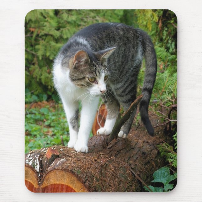 Tapis De Souris Marche en chat - Kitty Mousepad (Devant)