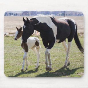 Tapis De Souris Mare and Filly Walking