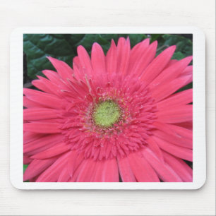 Tapis De Souris Marguerite de Gerbera
