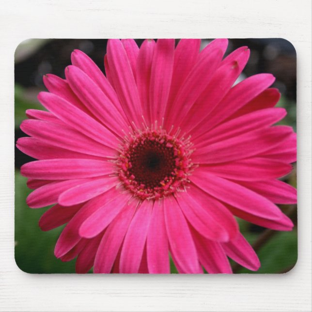 Tapis De Souris Marguerite rose de Gerbera (Devant)