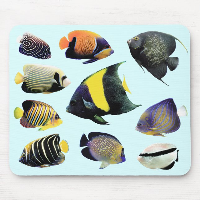 Tapis De Souris Marine Angelfishの ド ♥ マ パ, No.01 (Devant)