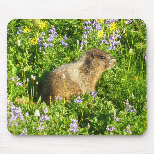 Tapis De Souris Marmot dans le Mont Rainier Fleurs sauvages (Devant)