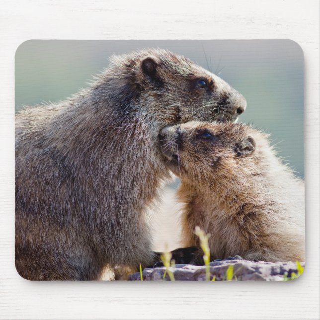 Tapis De Souris Marmot Mère avec bébé (Devant)