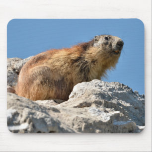 Tapis De Souris Marmotte alpine sur roche