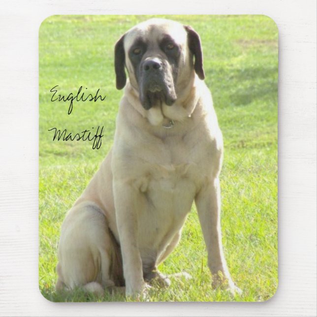 Tapis De Souris Mastiff maximum et anglais (Devant)
