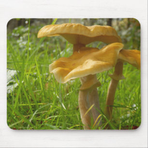 Tapis De Souris Mat de souris de champignon de miel