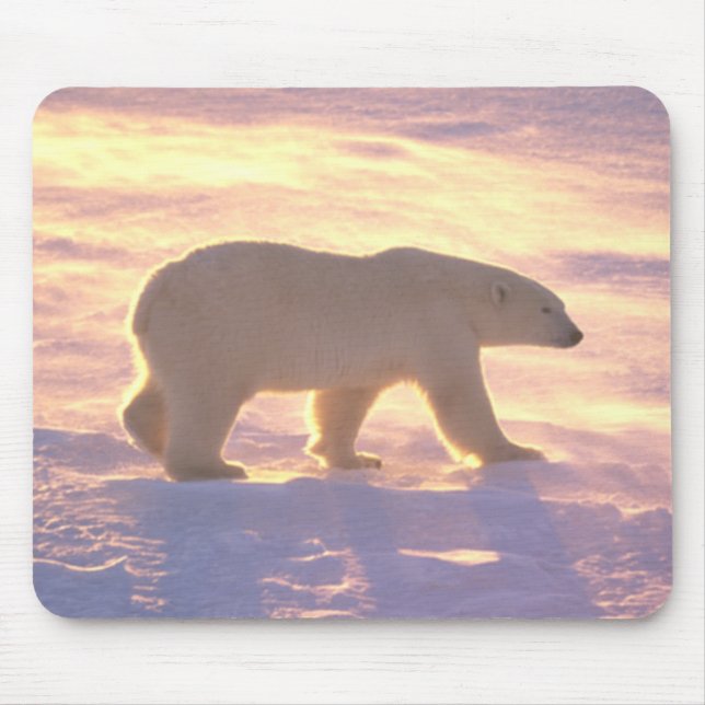 Tapis De Souris Matin 3 Mousepad d'ours blanc (Devant)