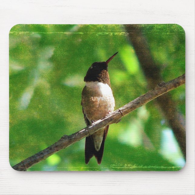 Tapis De Souris Matin des colibris (Devant)