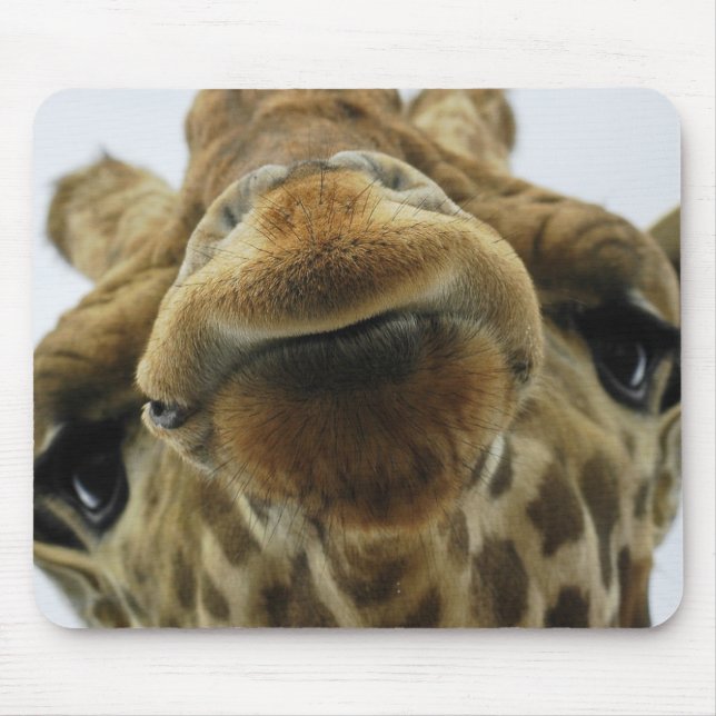 Tapis De Souris Mauspad Giraffe Baiser (Devant)