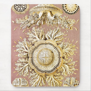 Tapis De Souris Méduse, Discomedusae par Ernst Haeckel