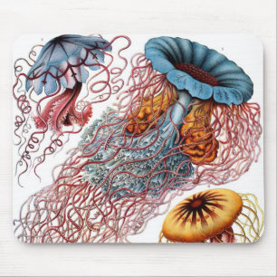 Tapis De Souris Méduses vintage par Ernst Haeckel, Discomedusae